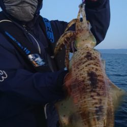 シースナイパー海龍 釣果