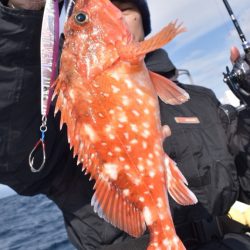 渡船屋たにぐち 釣果