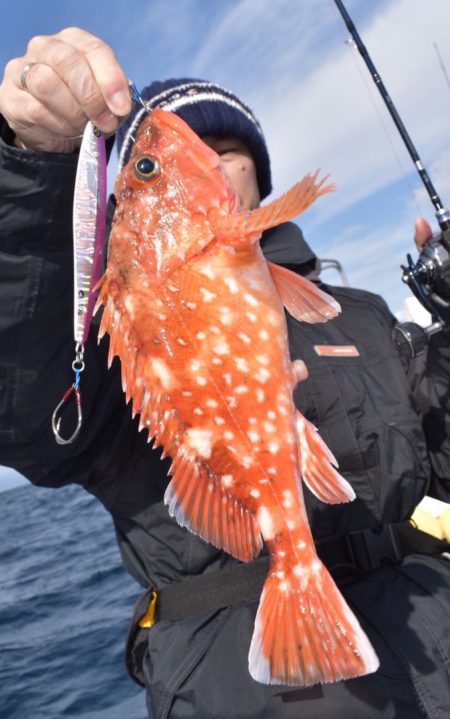 渡船屋たにぐち 釣果