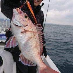 遊漁船 家入 釣果