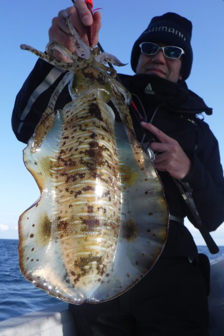 ブルースフィッシングサービス 釣果