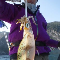 ブルースフィッシングサービス 釣果