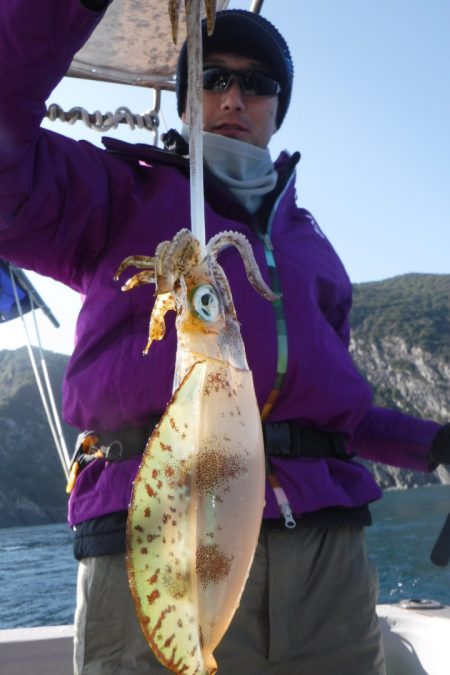 ブルースフィッシングサービス 釣果