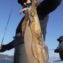 ブルースフィッシングサービス 釣果