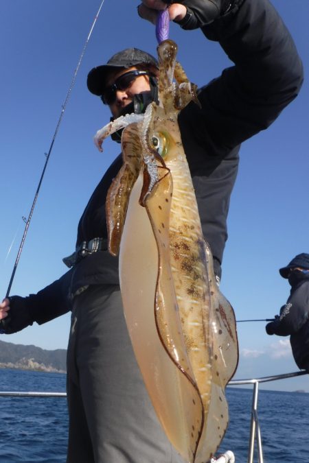 ブルースフィッシングサービス 釣果