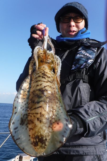 ブルースフィッシングサービス 釣果