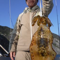 ブルースフィッシングサービス 釣果