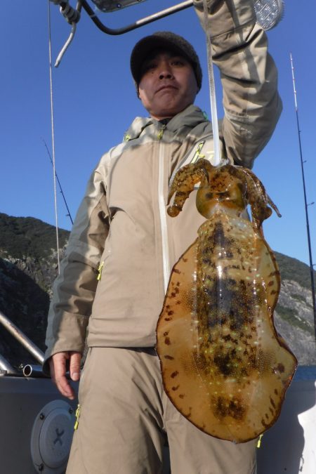 ブルースフィッシングサービス 釣果