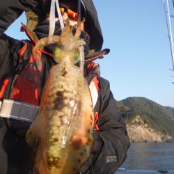 ブルースフィッシングサービス 釣果