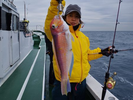 Big One ビッグワン 釣果