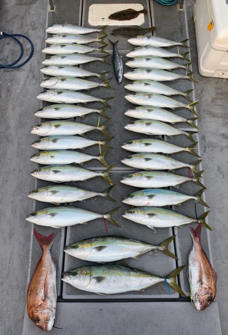 SeaRide(シーライド) 釣果