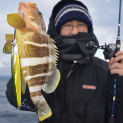 渡船屋たにぐち 釣果