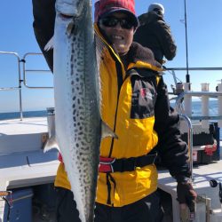 ビッグファイター 釣果