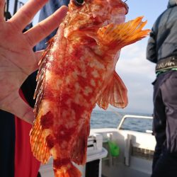 遊漁船　家入 釣果