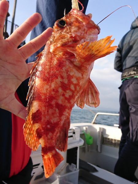 遊漁船　家入 釣果