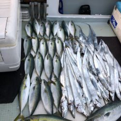 エムズジャーク(M’s JERK) 釣果