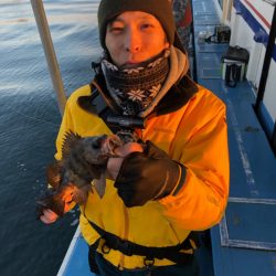 ヤザワ渡船 釣果