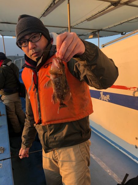 ヤザワ渡船 釣果