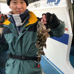 ヤザワ渡船 釣果