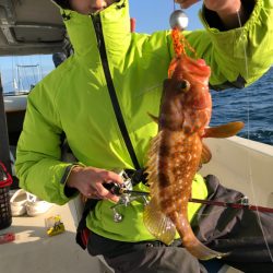 末広丸(熊本) 釣果