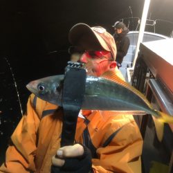 ＴＡＲＯＭＡＲＵ 釣果