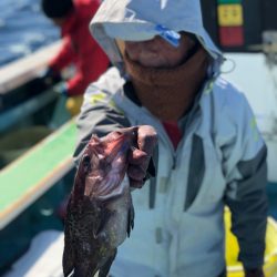 丸万釣船 釣果