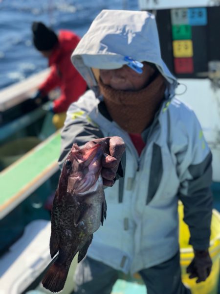 丸万釣船 釣果