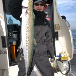 ビッグファイター 釣果