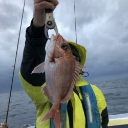 新幸丸 釣果