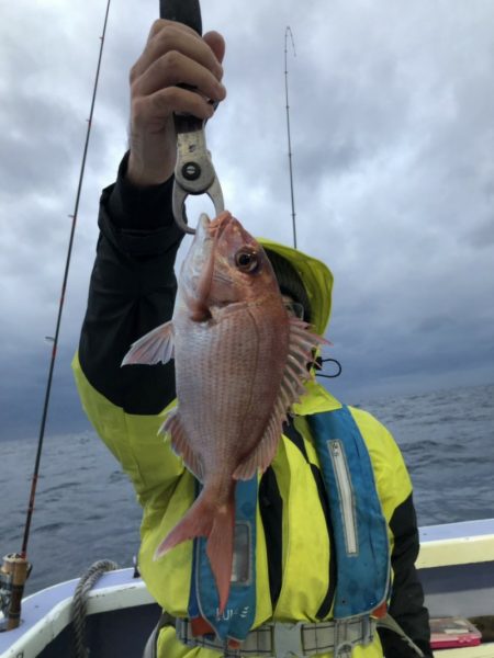 新幸丸 釣果