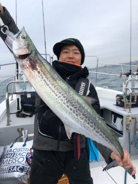 ビッグファイター 釣果