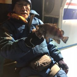 ヤザワ渡船 釣果