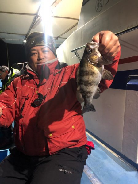 ヤザワ渡船 釣果