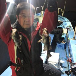 ヤザワ渡船 釣果