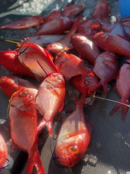 ＴＡＲＯＭＡＲＵ 釣果