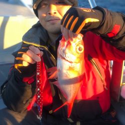 ＴＡＲＯＭＡＲＵ 釣果