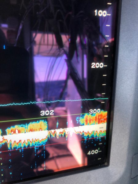 ＴＡＲＯＭＡＲＵ 釣果