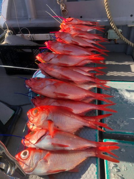 ＴＡＲＯＭＡＲＵ 釣果