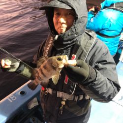 ヤザワ渡船 釣果