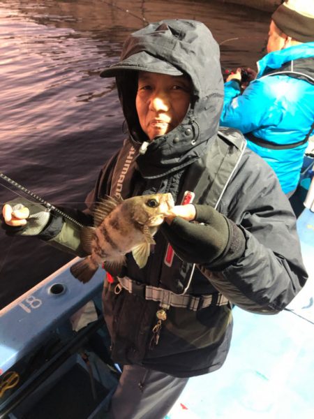 ヤザワ渡船 釣果