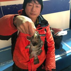 ヤザワ渡船 釣果