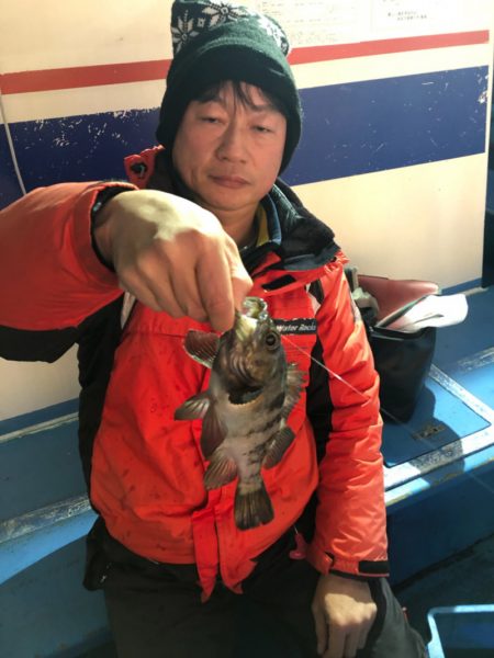 ヤザワ渡船 釣果