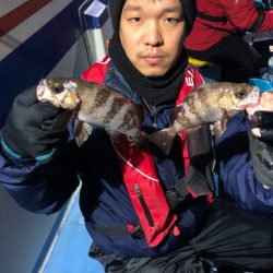 ヤザワ渡船 釣果