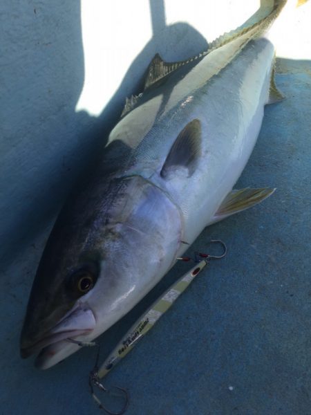 ぽん助丸 釣果