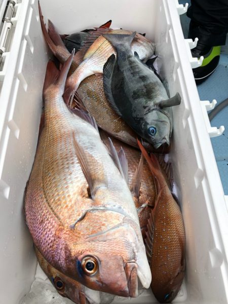 第二八坂丸 釣果