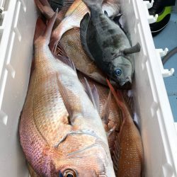 第二八坂丸 釣果