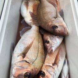 第二八坂丸 釣果