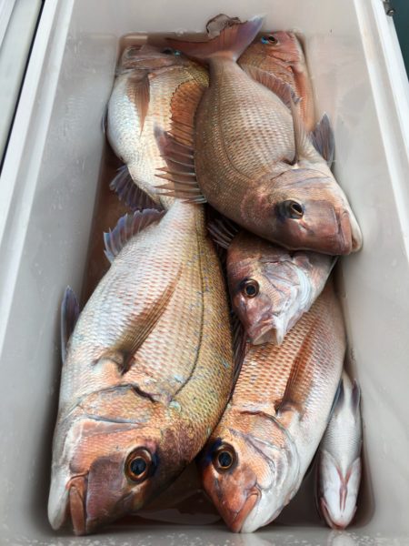 第二八坂丸 釣果