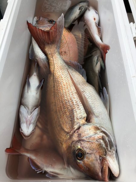 第二八坂丸 釣果