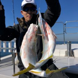 ビッグファイター 釣果